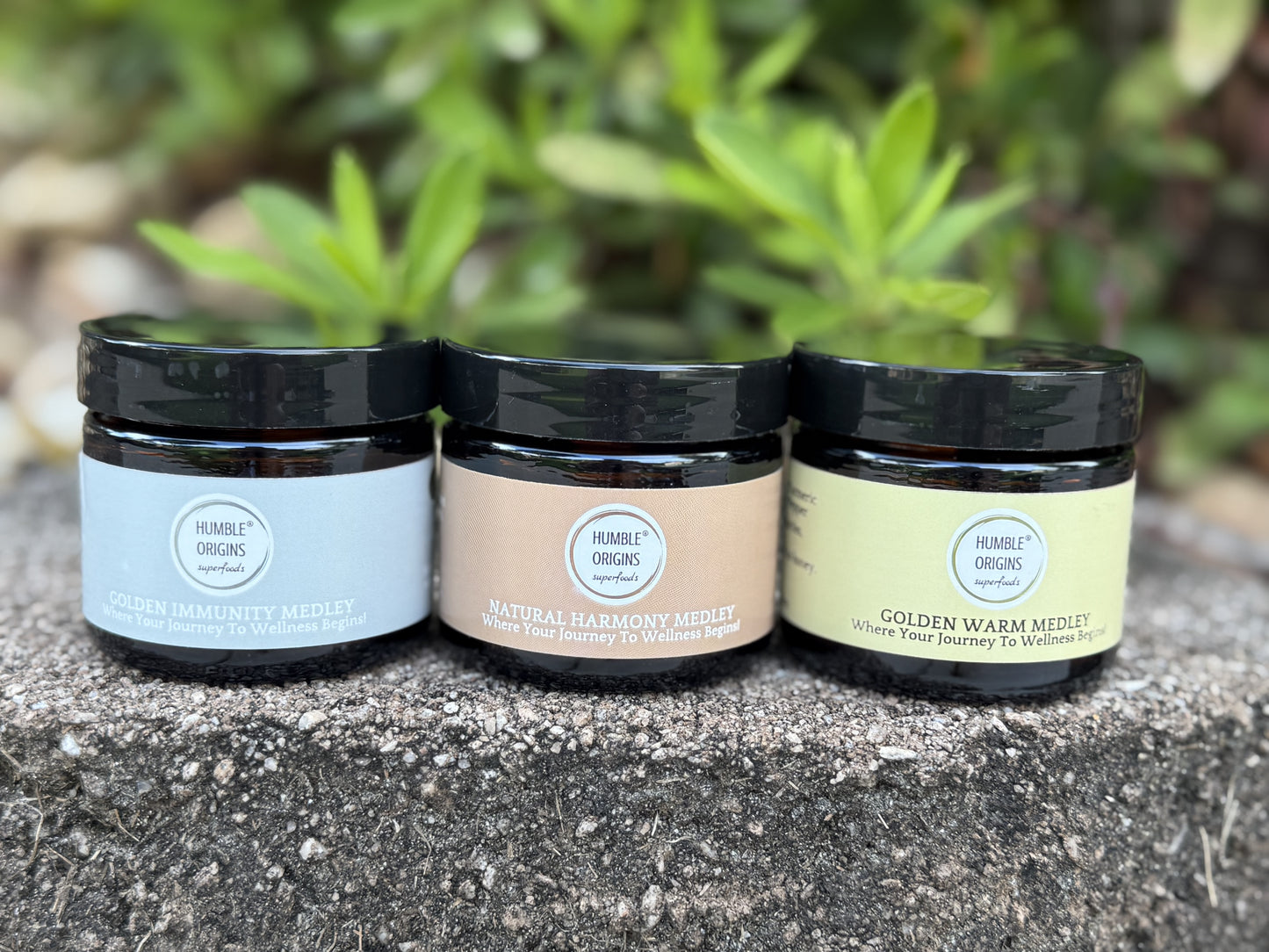 Wellness Medley Trio