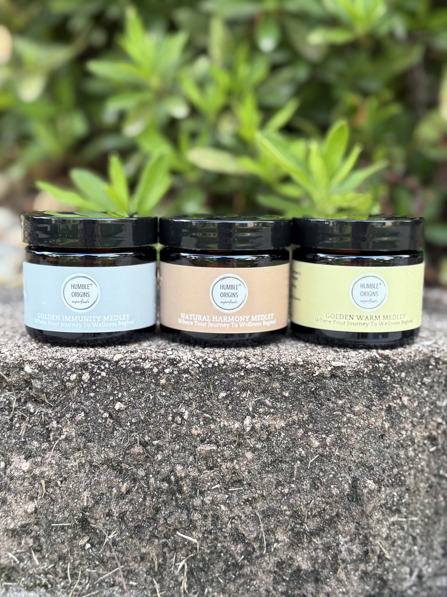 Wellness Medley Trio