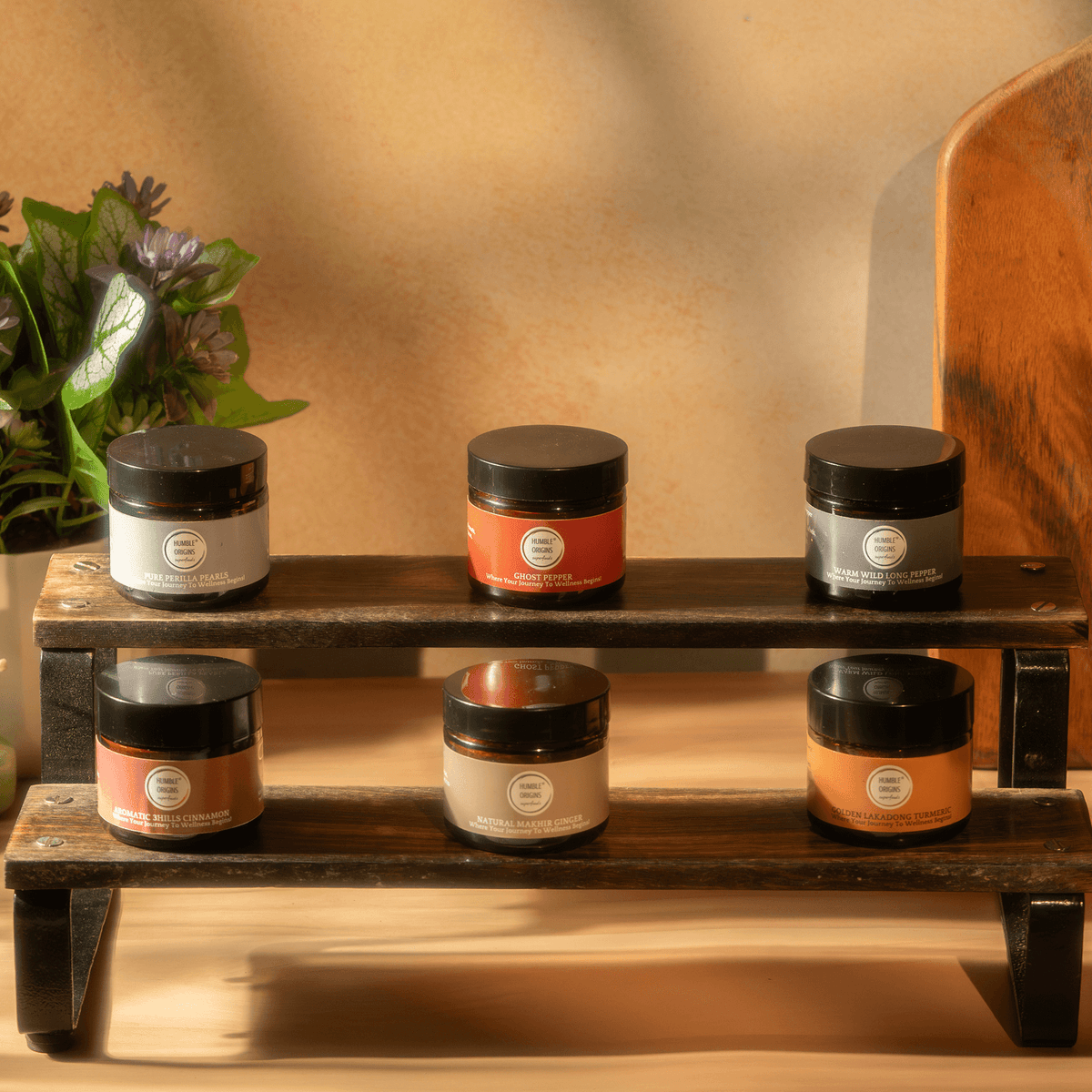 Set of jars on a wooden shelf with a plant in the background