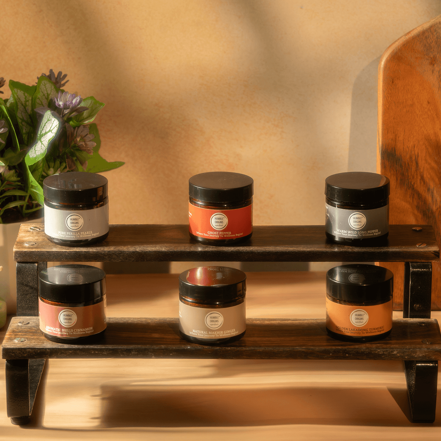 Set of jars on a wooden shelf with a plant in the background