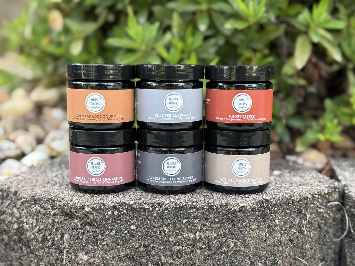Wellness Journey Essentials Sets