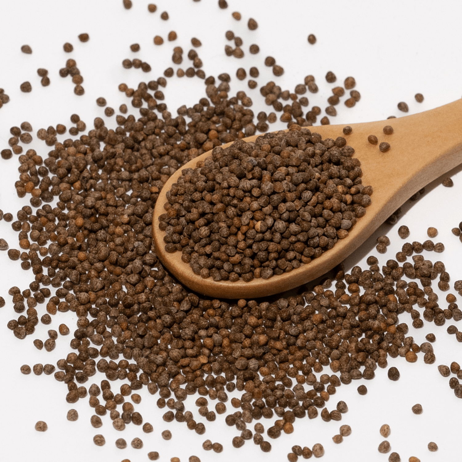 Wooden spoon filled with brown seeds on a white background