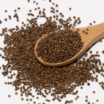 Wooden spoon filled with brown seeds on a white background