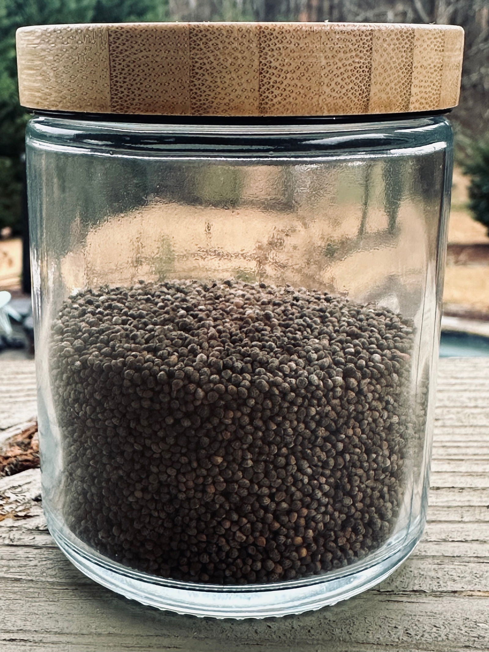 Perilla Pearls (Seeds) "Nei Lieh" - Humble Origins Superfoods