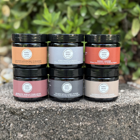 Wellness Journey Essentials