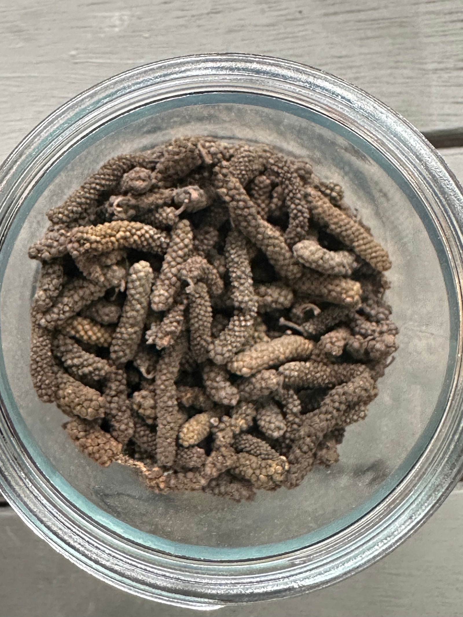 Warm Wild Long Pepper (Piper Longum) - Humble Origins Superfoods