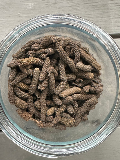 Warm Wild Long Pepper (Piper Longum) - Humble Origins Superfoods