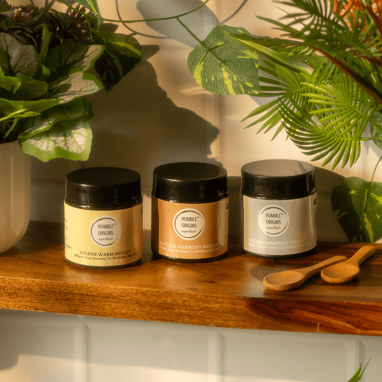 Three jars with black lids on a wooden shelf with plants in the background