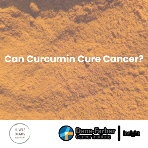 Can Curcumin Help Prevent Cancer Recurrence? Here’s What Experts and Science Say